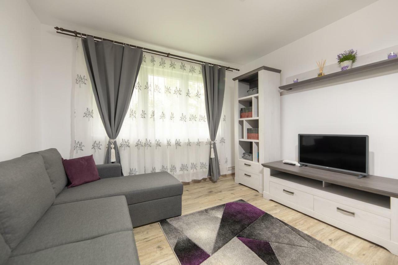 Апартаменты Apartament Ada Сибиу Экстерьер фото
