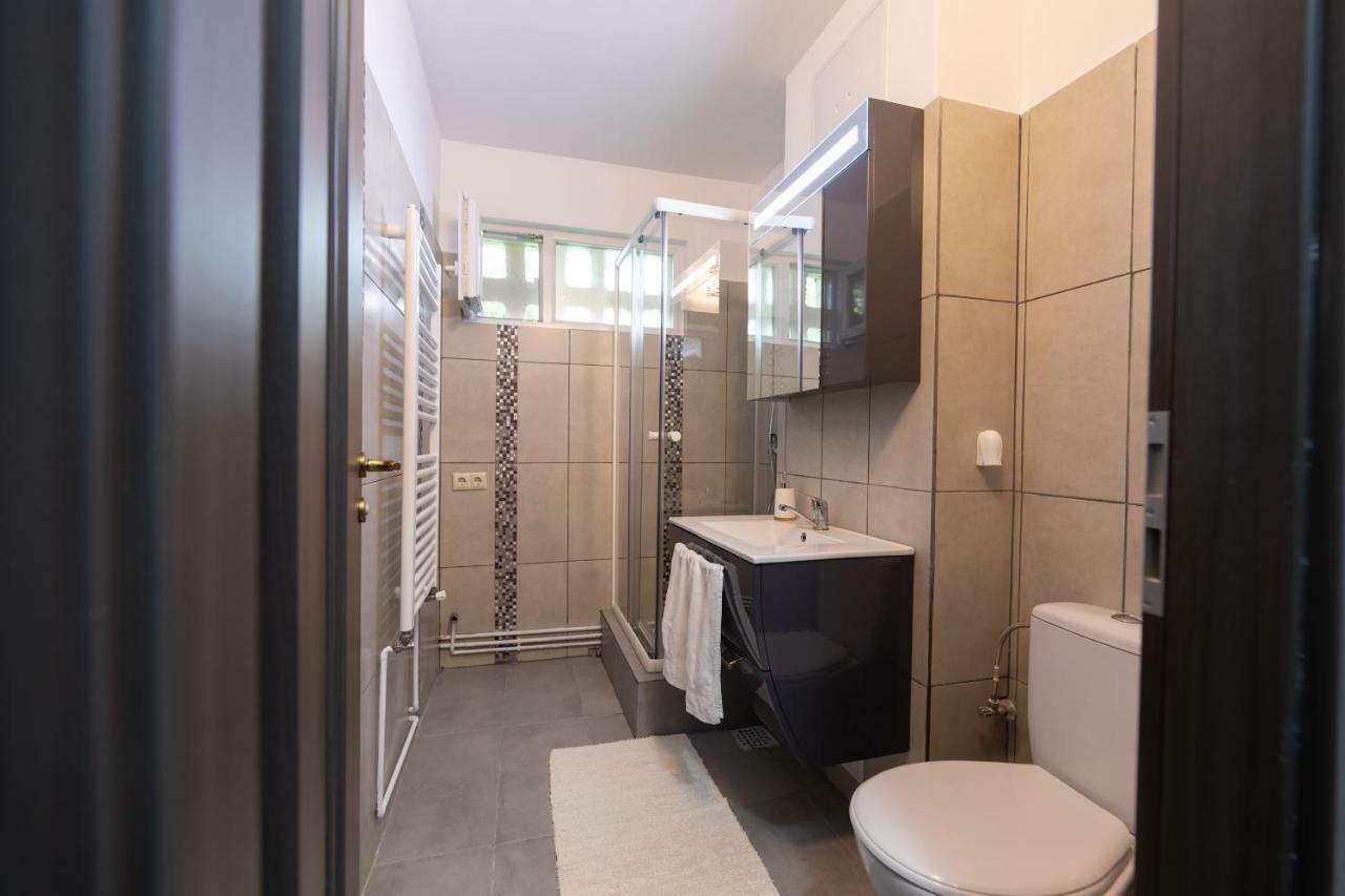 Апартаменты Apartament Ada Сибиу Экстерьер фото